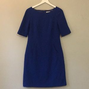 Eliza J Classic Blue Dress Size 6 Lined Hidden Zip